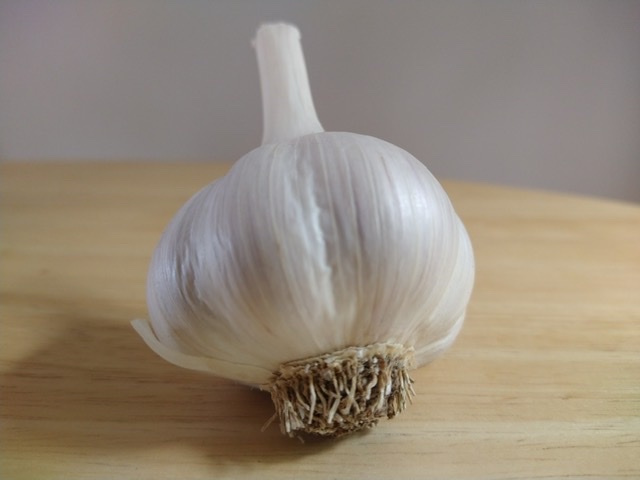 Garlic close up 